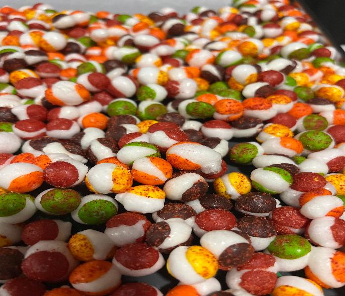 Rainbow Nibble Variety Pack