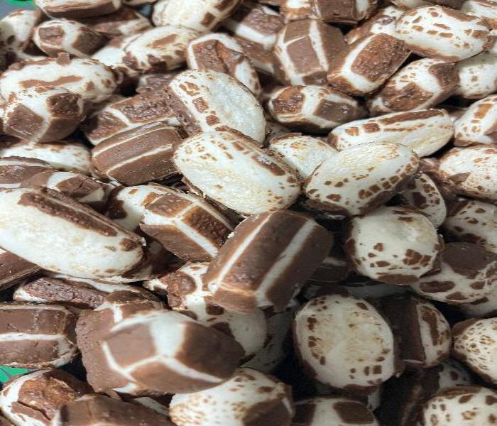 Chocolate Variety Pack